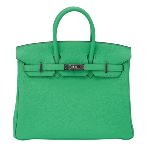 Artisan-Grade Hermès Dupes - Birkin 25 Vert Comics Togo Palladium HW
