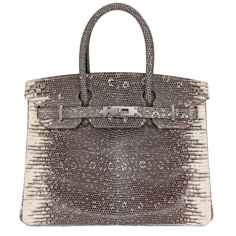 Artisan-Grade Hermès Dupes - Birkin 30 Ombré Lizard Palladium HW