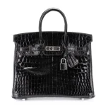 Hermès Birkin 25 Shiny Crocodile Niloticus Black Palladium HW - Best Replica