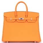 Hermès Birkin 25 Togo Orange Minium Palladium HW - High-End Inspired