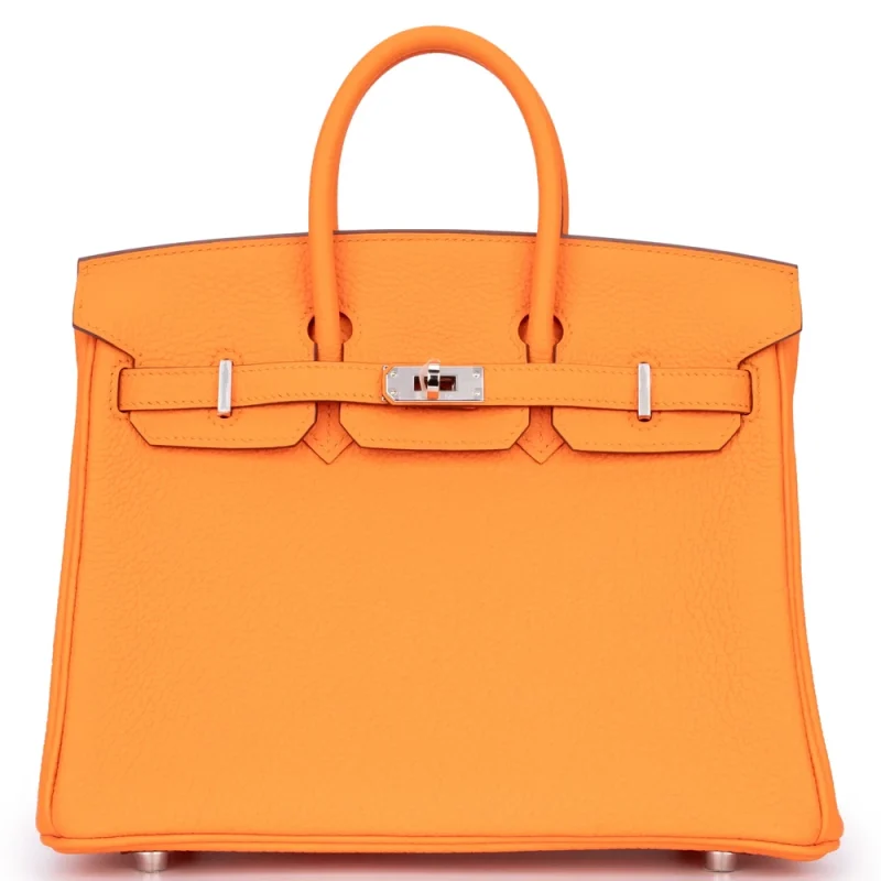 Hermès Birkin 25 Togo Orange Minium Palladium HW - High-End Inspired