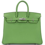 Hermès Birkin 25 Togo Vert Yucca Palladium HW - High-End Inspired