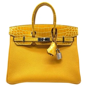 Hermès Birkin 25 Touch Replica | Mirror Quality Bags