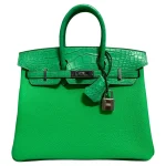 Hermès Birkin 25 Touch Vert Comics Replica | Premium Quality