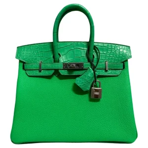 Hermès Birkin 25 Touch Vert Comics Replica | Premium Quality
