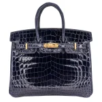 Mirror Quality Hermès Replicas - Birkin 25 Bleu Baltique Shiny Niloticus Gold HW