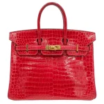 Mirror Quality Hermès Replicas - Birkin 25 Braise Shiny Niloticus Crocodile Gold HW