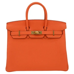 Mirror Quality Hermès Replicas - Birkin 25 Orange Togo Gold HW